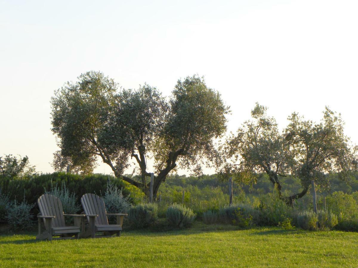 Bed and Breakfast Macchiabuia à Capalbio Extérieur photo