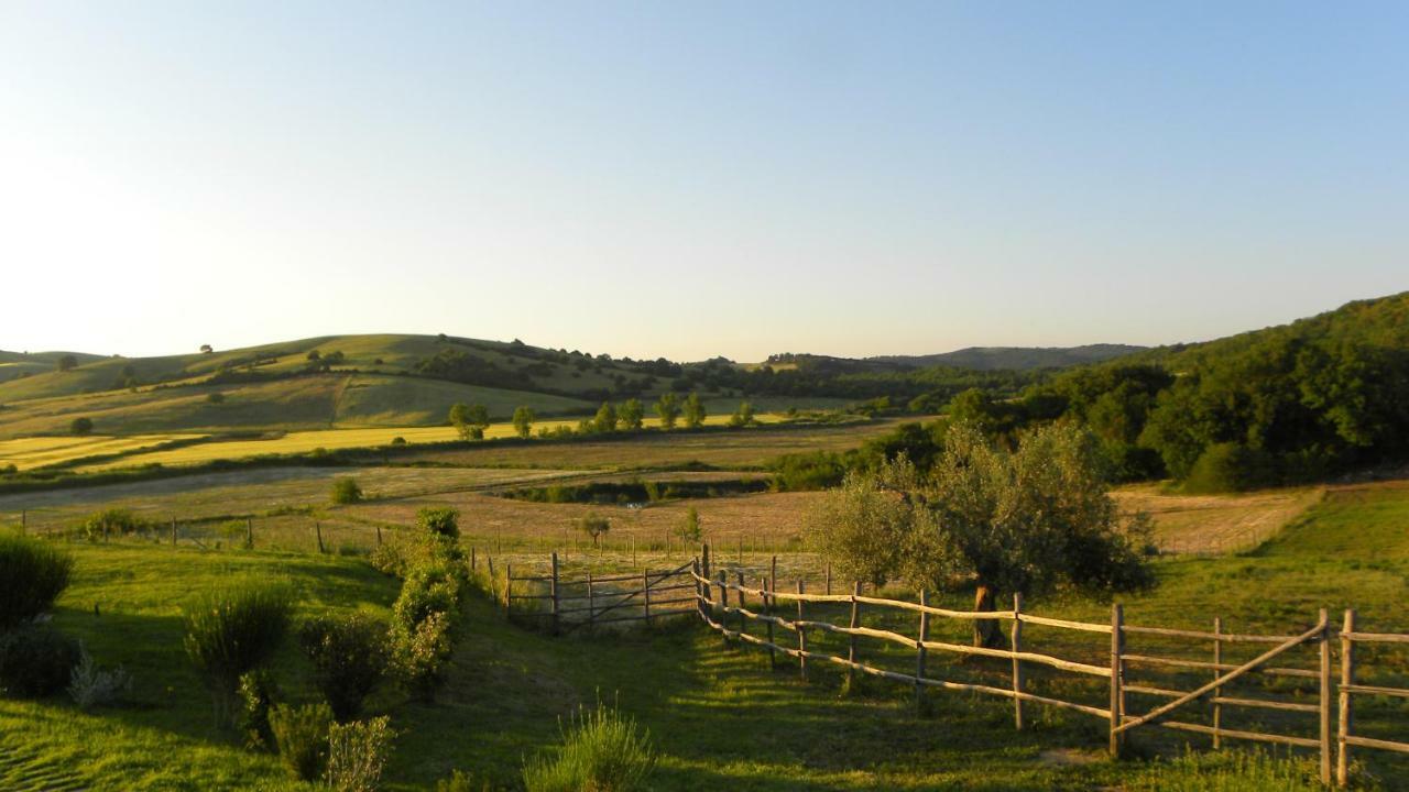 Bed and Breakfast Macchiabuia à Capalbio Extérieur photo